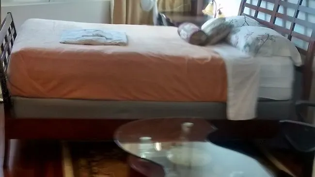 Toronto Furnished Living Apartment Canada